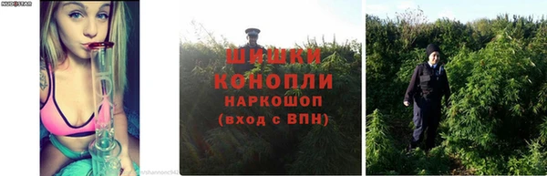 MDMA Premium VHQ Ессентукская