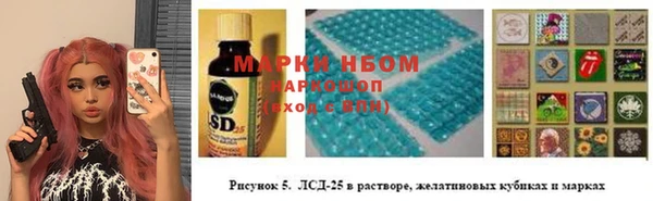 мдпв Инта