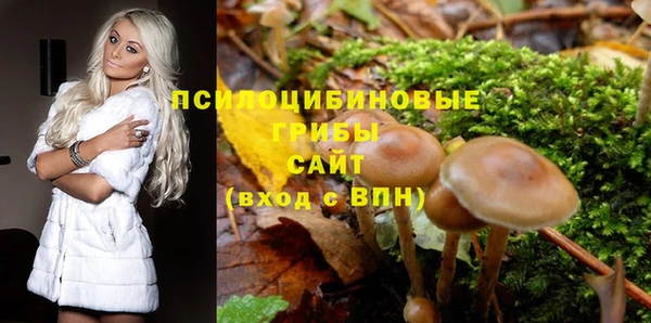 не бодяженный Инсар