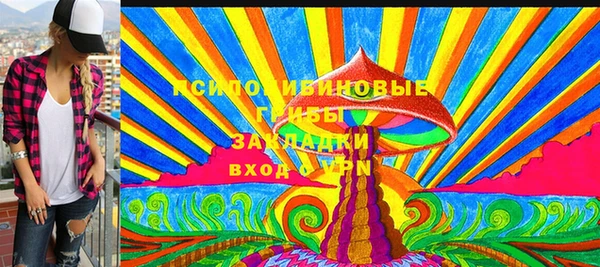 не бодяженный Инсар