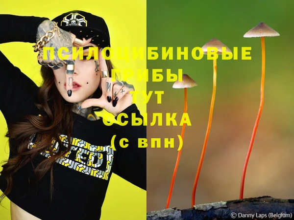 не бодяженный Инсар