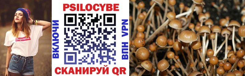 Галлюциногенные грибы MAGIC MUSHROOMS Западная Двина